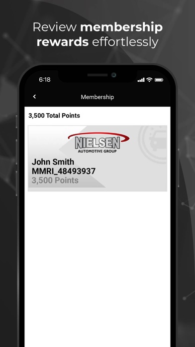 Nielsen Automotive Screenshot
