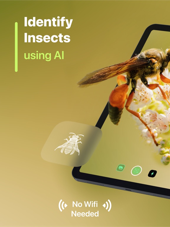 Screenshot #4 pour Insect Identifier