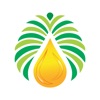 MBLion Oleo – Palm Oil Price icon