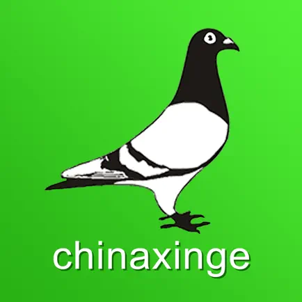 中国信鸽信息网chinaxinge.com Читы