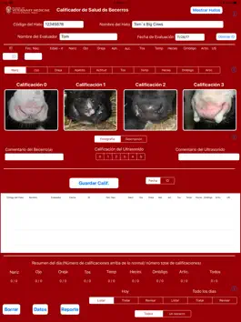 Game screenshot Calf Health Scorer apk