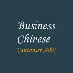 Business Chinese App Alternatives