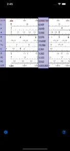 iSlideRule screenshot #1 for iPhone