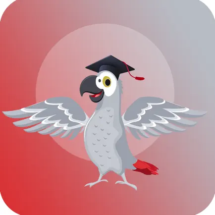 Alingo App Читы