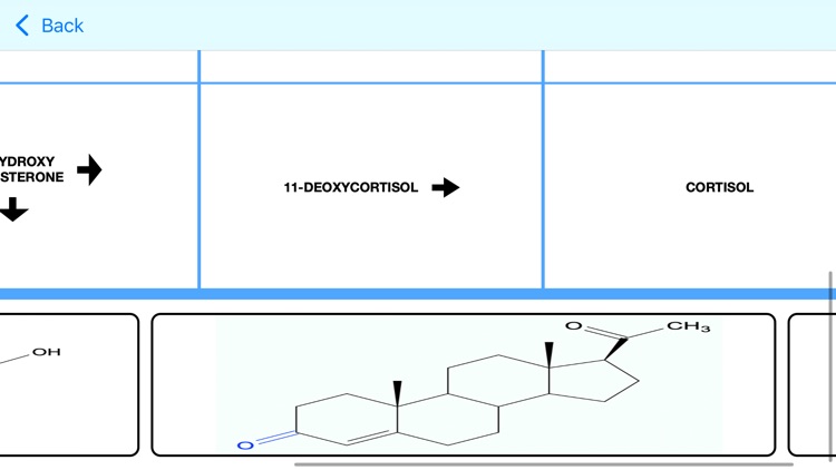 Adrenocortical Hormones Tutor screenshot-5