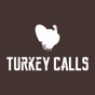 Turkey Calls app download