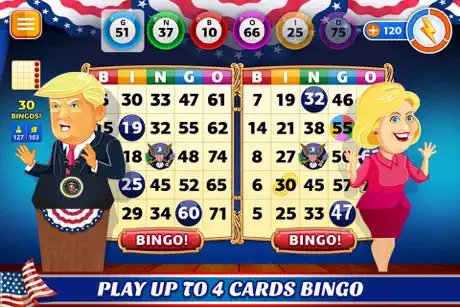 Bingo Dog - Fun Game 2024