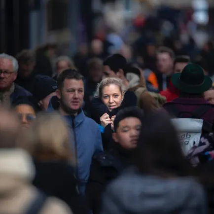 November people discovery Cheats