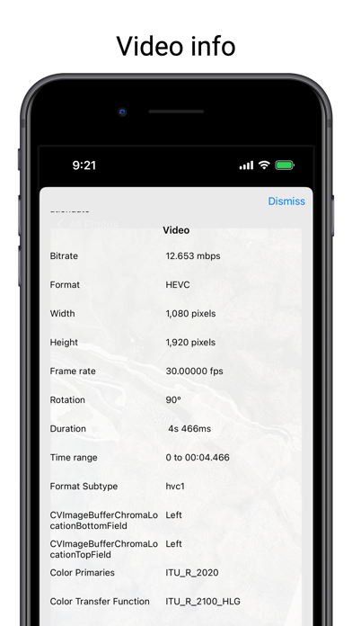 Video Info Checker Screenshot