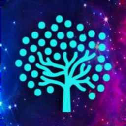 LiveTree Positive Affirmations