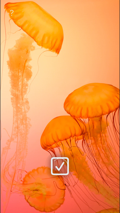 WLPPR - backgrounds wallpapers Screenshot