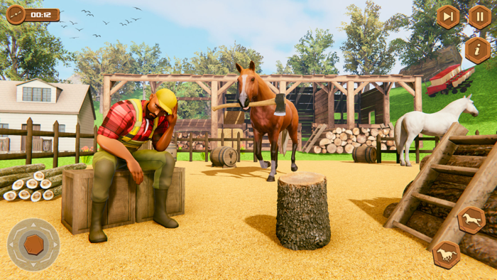 My Wild Horse Riding Stories