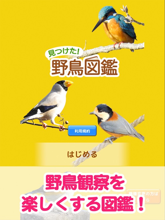 見つけた！野鳥図鑑のおすすめ画像1