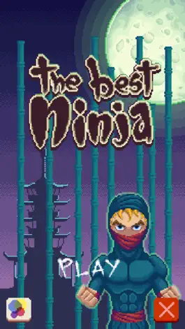 Game screenshot The Best Ninja mod apk
