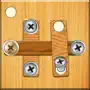 Nuts And Bolts Wood Puzzle