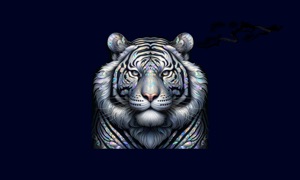 Tightrope Escape Game