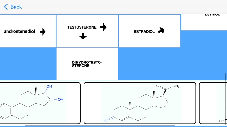 Estrogen Hormones Tutor