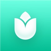 PlantIn Vision app icon