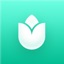PlantIn Vision
