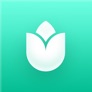 PlantIn Vision app icon