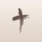 Icon Via Crucis App