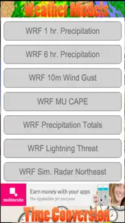 weather models iphone screenshot 2
