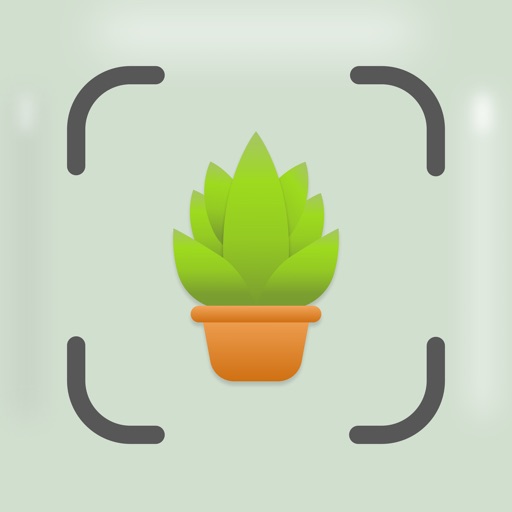Plant & Tree Identifier - PLNT iOS App