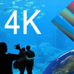 Aquarium Videos 4K