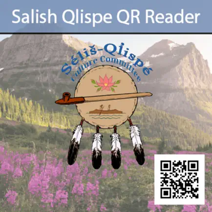Salish Qlispe QR Reader Cheats