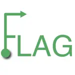 Flag PlayBook App Positive Reviews