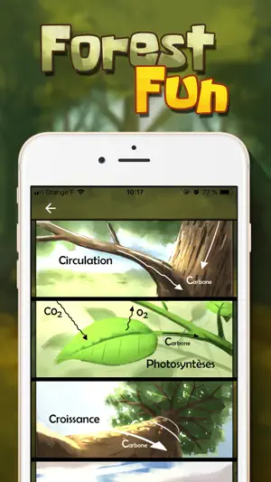 Forest Fun screenshot 4
