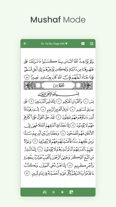 Al Quran (Tafsir & by Word) Screenshot