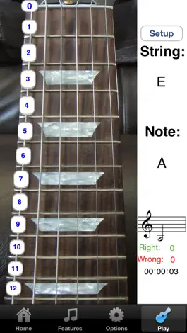 Game screenshot Electric Guitar Fretboard Lite apk