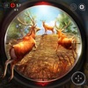 Icon Deer Hunter Animal Games