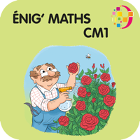 Enigmaths CM1