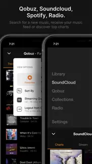 vox – mp3 & flac music player iphone screenshot 2