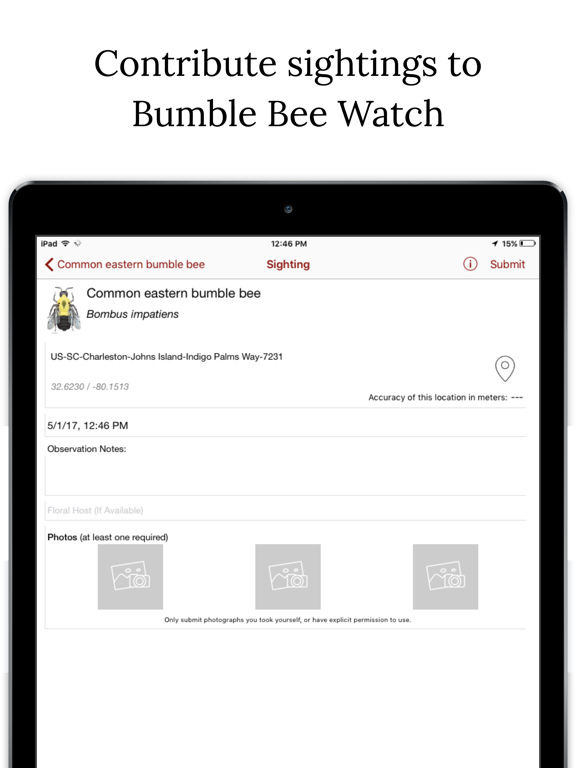 Bumble Bee Watch iPad screenshot 4 - Reference app