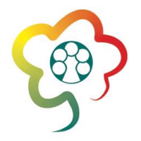 Pflegefamilien Hessen