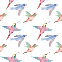 Bird Sounds Pro Plus