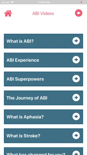 ABI Wise screenshot 4