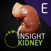 INSIGHT KIDNEY Enterprise - ANIMA RES