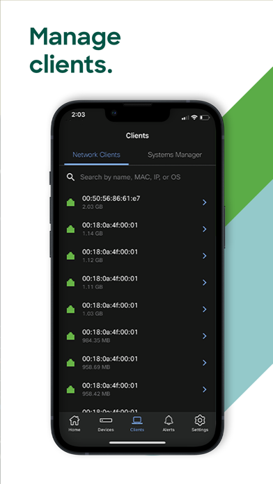 Meraki Screenshot