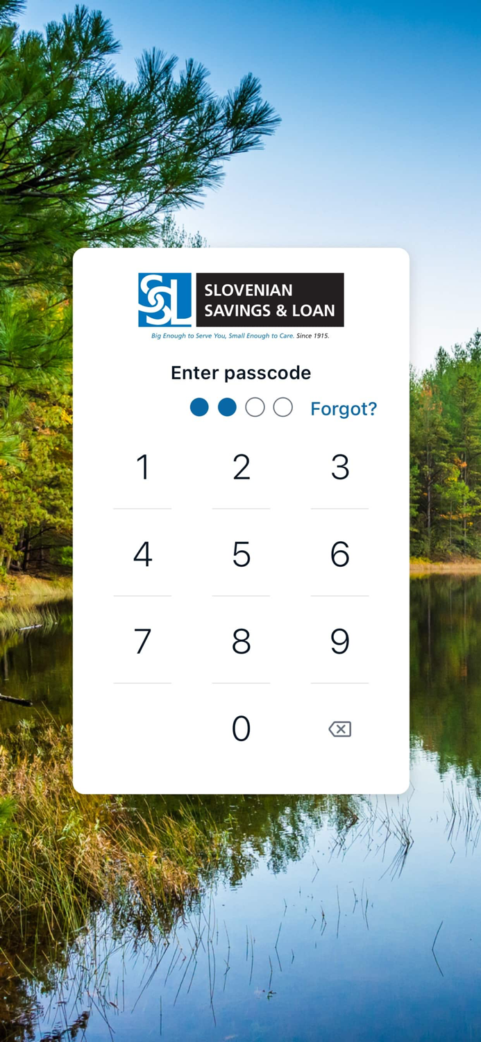 Slovenian Savings and Loan