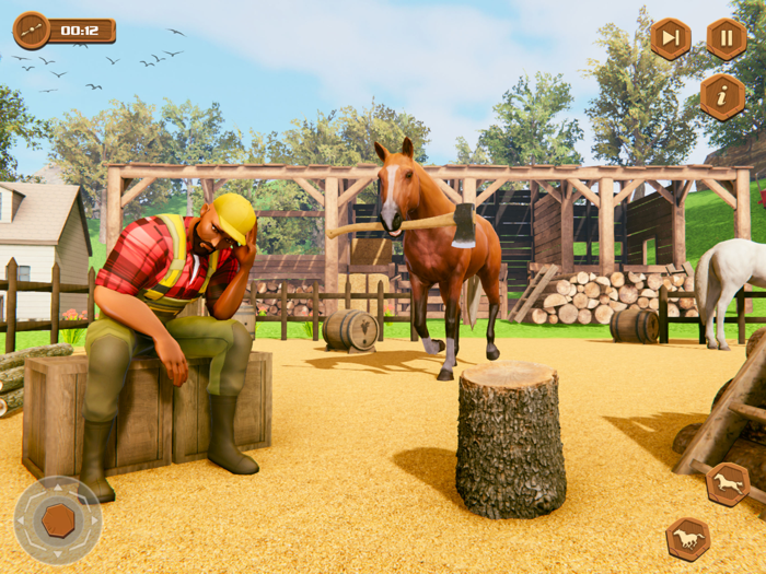 My Wild Horse Riding Stories