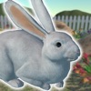 Rabbits Friends icon