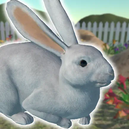Rabbits Friends Читы