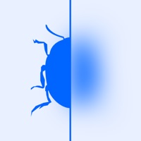 Contacter Bug ID: Insectes Identifier