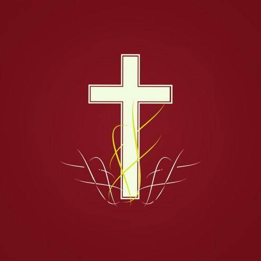 Bible Reading Zone -All In One - AppWisp.com