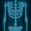 Skeletal System Flashcards negative reviews, comments
