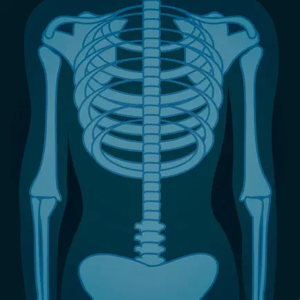 Skeletal System Flashcards Читы